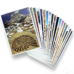 Postkarten-Set Naturschauspieler